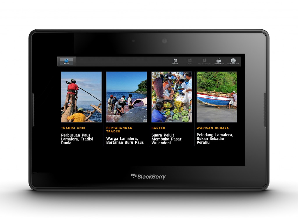 Blackberry Playbook